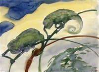 Two Chameleons