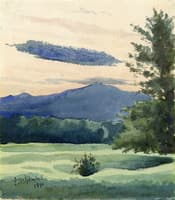 Green Meadow