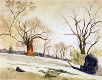 Autumn Landscape