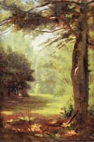 Green Forest