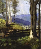 Edge of Wood