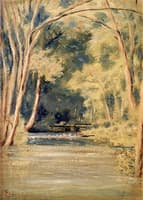Forest Brook
