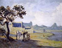 Burros, Yuma, Arizona