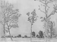 Trees