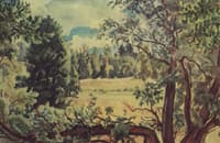 Forest Landscape