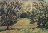 Forest Landscape