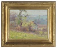 Early Spring