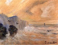 Rocky Seashore