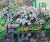 Hydrangeas on the banks of the riverLys