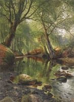 Forest Stream