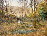 Pennsylvania Woods