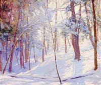 Winter Woods
