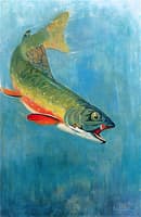 Catching the Bait