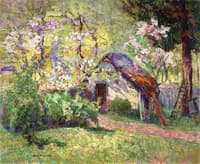 The Cottage