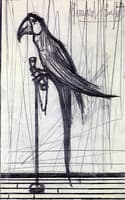 Parrot