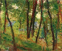In the Woods