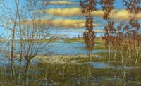 Flooded Riverbank with Trees
