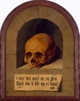 Vanitas