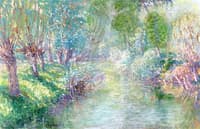 Sunlight on a Riverbank