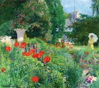 Elegant Lady in a Field of Poppies