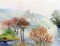 The Effect of Fog after the Flood
