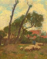 Sheep in the Pasture