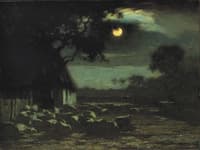 Sheepyard, Moonlight