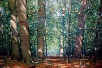 The Beeches