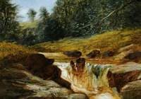 Mountain Stream