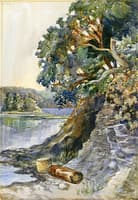 Arbutus Tree