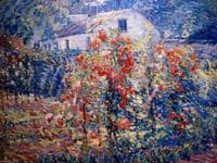 Cottage Garden, Uccle, Belguim