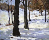 Snow and Trees at White Bear