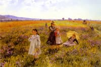 A Summer's Day