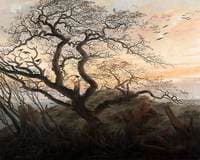 Raven Tree