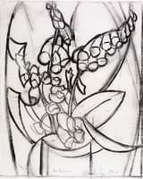 Fox Glove