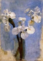 Flowers in the Sun