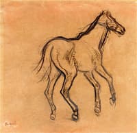 Study of a Horse