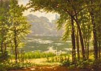 A Sun-drenched River View