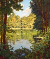 A Sun-drenched River View