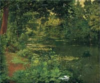 A Woodland Pool