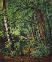 A Woodland Stream