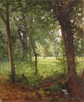 Forest in Spring