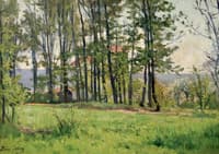 The Meadow