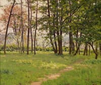 The Meadow
