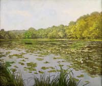 Water Lilies