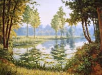 Still Waters