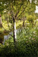 Summer on the River Bank