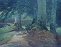 Beech Trees in Frederiksdal, near Copenhagen