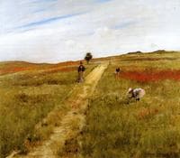 Shinnecock Hills