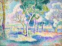 Trees near a River